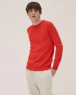Pull Cachemire Manches Longues Basic