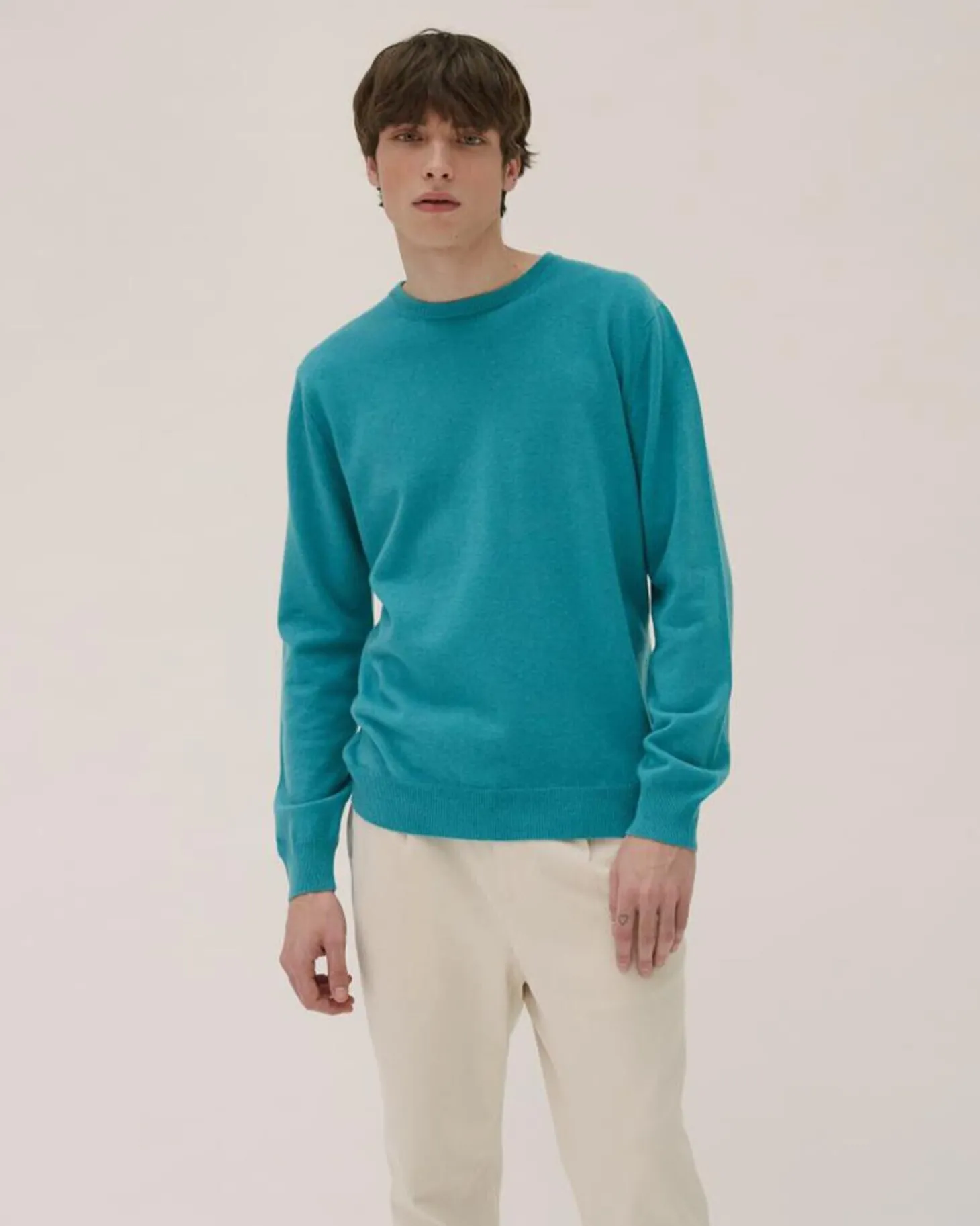 Pull Cachemire Manches Longues Basic