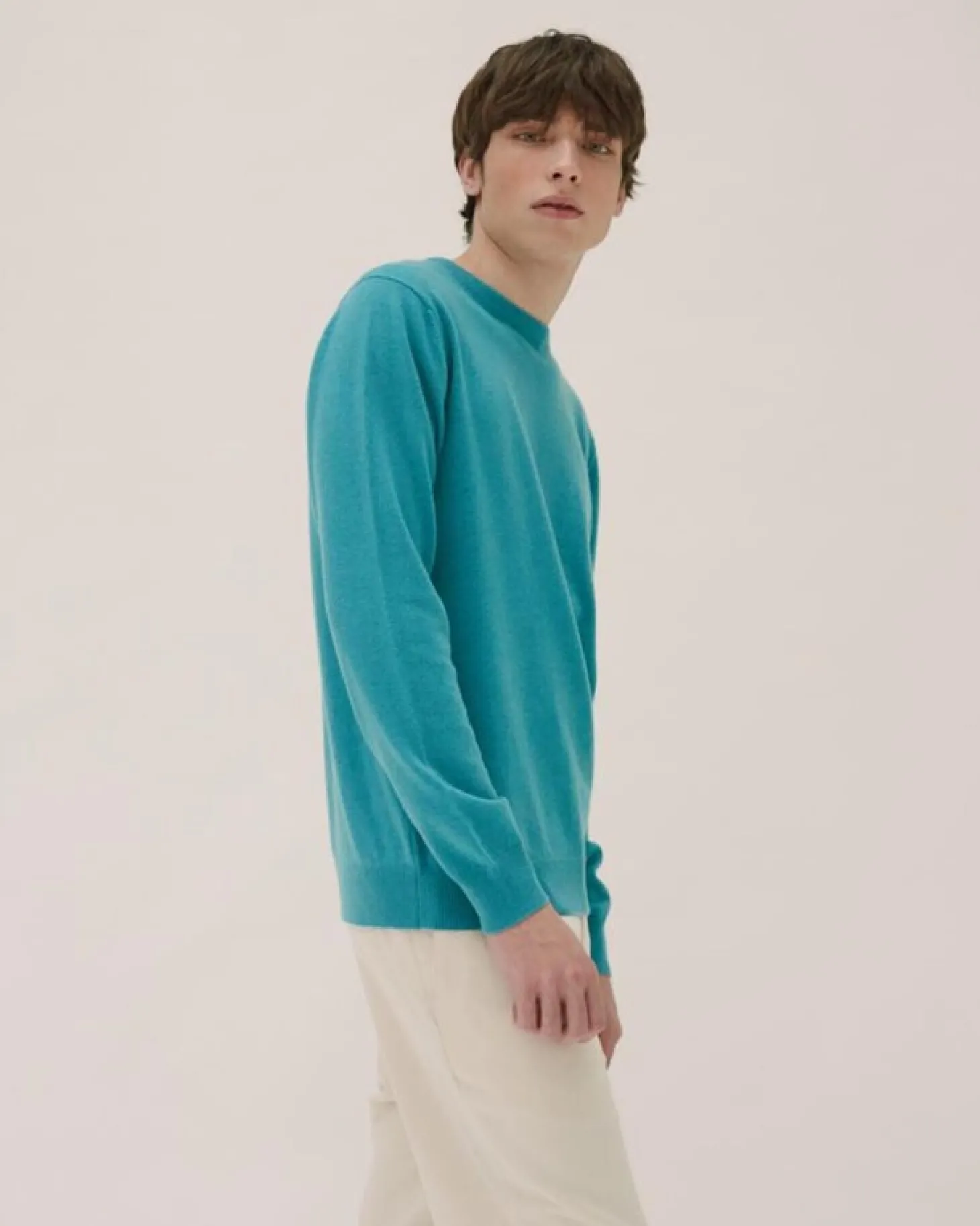 Pull Cachemire Manches Longues Basic