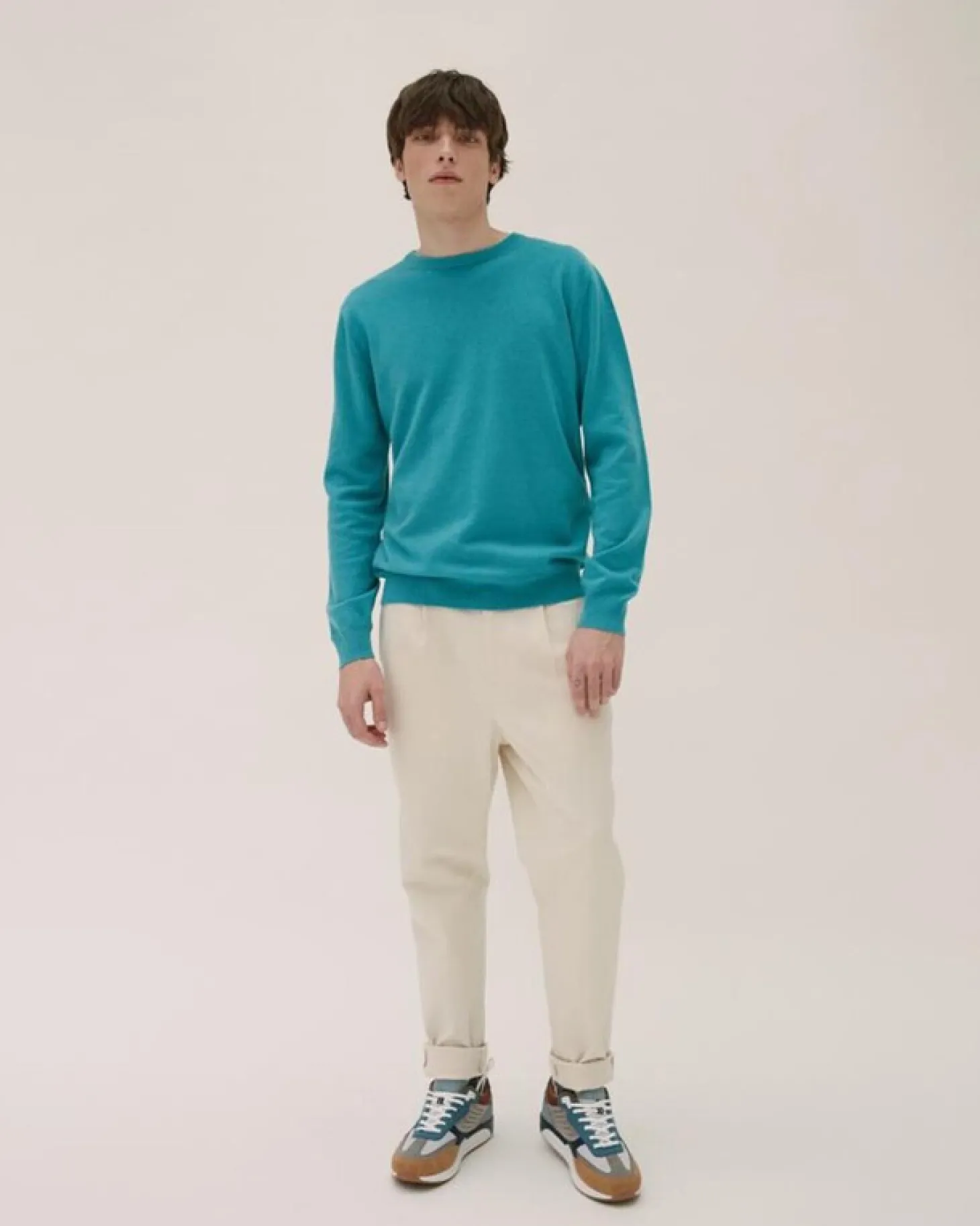 Pull Cachemire Manches Longues Basic